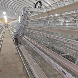 <span class=keywords><strong>Cage</strong></span> usagée du système de colonies enrichies pour volailles, poulets pondeurs avec composant moteur central
