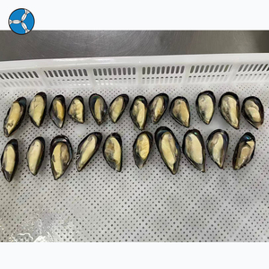 SANFENG SEAFOOD: Cozze Verdi Congelate con Mezza Conchiglia in Offerta a Prezzo All'Ingrosso - Product Image 6