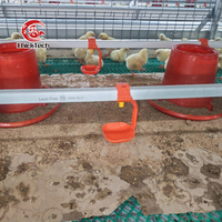 Équipement d'élevage de poulets automatique de type H/A Cages d'élevage de poulets de chair en batterie pour ferme avicole en nouvelle condition à vendre au Nigeria