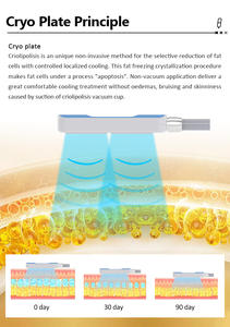 Cryo Double Chin Cryoshape Fat <strong>Cyrotherapy</strong> Body Freezing <strong>Machine</strong> - Product Image 4