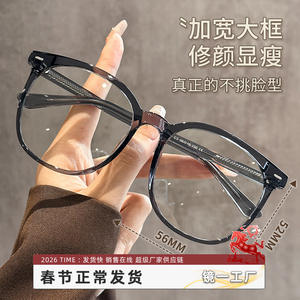 Montures de lunettes ovales Danyang 72038 pour femmes, monture large en plastique TR90 rétro pour myopie - Product Image 5