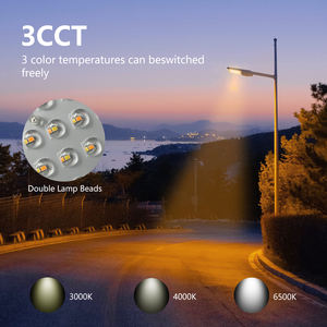 高ワット数のカスタマイズされたIP65ソーラーLED街路灯（バッテリーとABS付き、道路用、RoHS認証済み） - Product Image 2