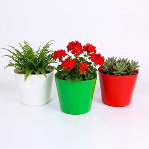 Pot de fleurs rond moderne en PP, taille 18 x 18 x 16 cm, couleurs vert, blanc, rouge, pot à large ouverture pour intérieur et extérieur - Product Image 1