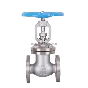 DN20 100 gate valve Corrosion-resistant and high-temperature-resistant manually adjustable ANSI JIS stainless steel gate valve