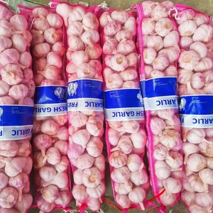 Aglio Fresco Cinese in Scatola da 10 kg, Nuovo Raccolto, Aglio Cinese Sbucciato Fresco, Fornitore Ali - Product Image 6