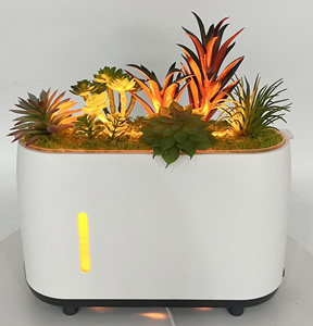 TOP Sell 300ml Ultrasonic Air <b>Humidifier</b> Purifier Aroma Diffusers Simulate Plant Cool Mist Smart Essential Oil Diffusers - Product Image 2