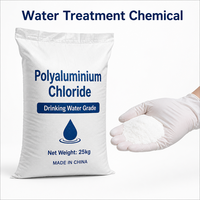 Floculant en poudre blanche PAC 30% pour l'eau potable