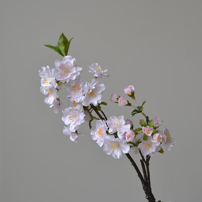 สีชมพูอ่อน