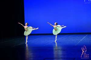 Profesional 2 piezas 9-12 capas plato tutú niñas clásico panqueque tutú <span class=keywords><strong>bailarina</strong></span> verde <span class=keywords><strong>Cascanueces</strong></span> YAGP Tutus - Product Image 6