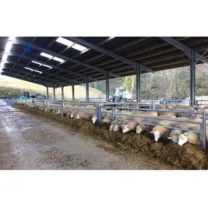 China Metal Frame Prefabricated Pig Farm House Building Steel Structure Pig Shed Construction