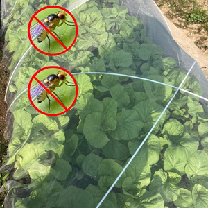 <span class=keywords><strong>Filet</strong></span> <span class=keywords><strong>anti</strong></span>-insectes agricole en HDPE, maille de protection contre les parasites pour serres, fruits et légumes - Product Image 1