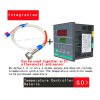 Sonde thermistor en platine à adsorption magnétique forte, capteur de température Pt100, OEM IP68