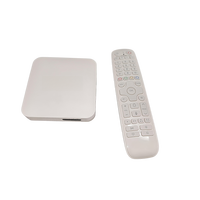 Boîtier TV OTT Android 11 et Linux double système d'exploitation, 2 Go de RAM, 32 Go de ROM, BT double Wi-Fi, quadricœur, 4K, portail AV1 HEVC, mise à jour OTA, lecteur multimédia 4K