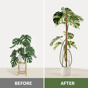 Paquete de 2 Varillas de Fibra de Coco Flexibles de 40 Pulgadas/100 cm, Hechas de Fibra de Coco, Control de Plagas, Soporte para Plantas, Accesorios de Jardinería, Envío Local en EE. UU. - Product Image 3