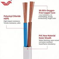 Hitze- und Kältebeständiges Flachkabel H05VVH2-F 2-adrig 0,75/1,5/2,5mm² PVC-Draht IEC Flammhemmend Abriebfest für Außenverkabelung