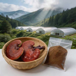Extrait de Ganoderma Lucidum de qualité alimentaire, en poudre séchée par pulvérisation, <span class=keywords><strong>champignon</strong></span> Reishi, 10%-50% polysaccharides, 2%-10% triterpènes - Product Image 2