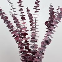 Pomme et eucalyptus séchés conservés naturellement, ronds, pour la décoration de la maison pour Thanksgiving ou la fête des mères