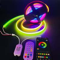 Bande LED RGBIC COB 12V/24V WS2811 USB intelligente à intensité variable avec télécommande pour aménagement paysager, salon, chambre à coucher IP20