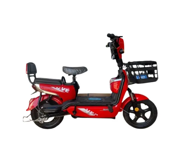 Portable 2-roues vélo électrique mode batterie de voiture 48V plomb-acide batterie vélo électrique chargeur