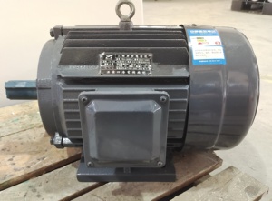 YE2 시리즈 0.18kw-<span class=keywords><strong>200kw</strong></span> <span class=keywords><strong>3</strong></span>상 스퀴럴 케이지 AC 유도 전동기 380V 50Hz - Product Image 5