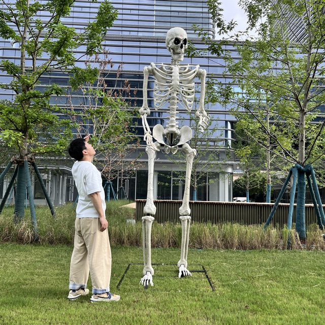 Halloween Decorations Movable Full Body Life 10Ft Huge Sizes Crazy Plastic Big Size Halloween Skeleton for Courtyard Park