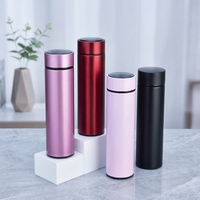 Termo de Acero Inoxidable Color Mate con Filtro para Té, Botella de Agua Aislada de 500 ml para Uso Diario