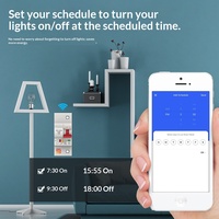 Disjoncteur intelligent WiFi Graffiti pour maison connectée avec contrôle par application, protection contre les fuites, mesure de la consommation électrique, interrupteur d'air Zigbee AC 220V/400V