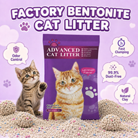 Échantillon Gratuit - Litière pour Chat Super Agglomérante au Charbon Actif et Bentonite, 20kg 25L, Meilleure Vente, pour la Vente en Gros