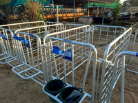 Cage à veaux robuste de haute qualité en acier galvanisé massif, à montage rapide, à vendre