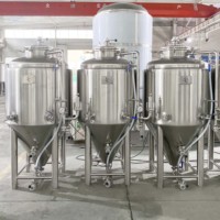 Cuve de Fermentation Conique Personnalisée 250L, Fermenteur à Double Enveloppe, Unitank, Machine de Brassage de Bière Artisanale pour Brasserie Artisanale et Hôtel