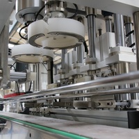 Machine de capsulage automatique à double tête linéaire servo |   Capsuleuse à vis pour bouteilles en verre et en plastique, pour aliments, cosmétiques et boissons