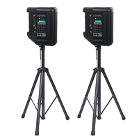 Speaker Multifungsi Profesional dengan DSP dan Amplifier Kelas-D: Bertenaga Baterai Lithium-ion, Mendukung TWS