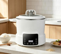 Cuiseur à riz intelligent à faible teneur en sucre, panier vapeur relevable, contrôle numérique, chauffage IH, cuve intérieure en acier inoxydable, cuisson rapide 2,1-3,0 L