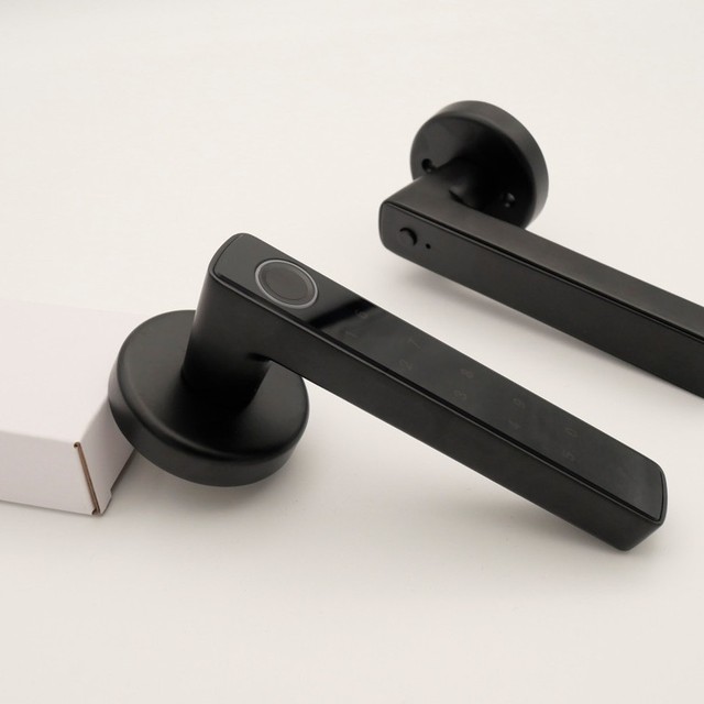 Fingerprint Electric Handle Lock IELOCK Smart Home Door Lock with Cloud Storage for for Wooden Door