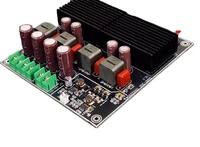 BRZHIFI SAMP-200 Dual core TPA3255 Circuit imprimé amplificateur haute puissance à 2 canaux 600W + 600W carte amplificateur classe D pour voiture à la maison
