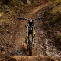 Vélo tout-terrain électrique Surron Light Bee 2026 avec frein hydraulique et couple élevé pour la montagne - Vente en gros