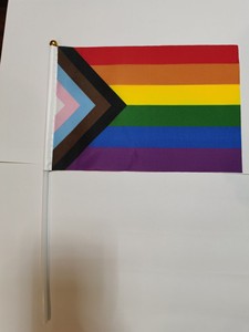 Banderas <span class=keywords><strong>de</strong></span> Mano con Asta <span class=keywords><strong>de</strong></span> 14*21cm, 100% Poliéster, Económicas, con Diseño <span class=keywords><strong>de</strong></span> Orgullo Gay, Aromático, Asexual y Aroace - Product Image 6