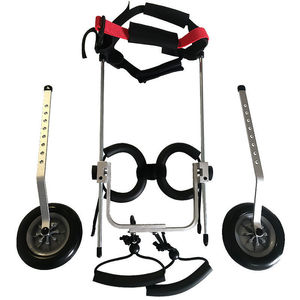 Factory Wholesale High Quality Walker Supplies <strong>Disabled</strong> Vehicles Mobile <strong>Cat</strong> and Assistive Pet Dog <strong>Wheelchair</strong> - Product Image 5