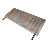 Plaque de refroidissement liquide 1000W personnalisée en usine pour refroidisseur d'appareils laser