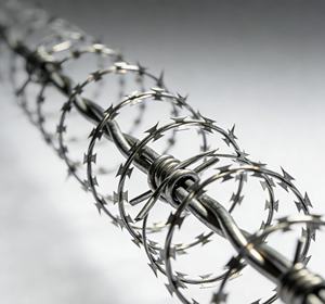 सबसे अच्छा विक्रेता गैल्वेनाइज्ड सुरक्षा बाड़ लगाना कॉन्सर्ट टेना प्राइस एंटी चढ़ाई ब्लेड तार जेल रेजर बार्बेड वायर - Product Image 5