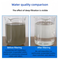 Système de purification d'eau UF à lavage automatique 3000L/H pour toute la maison/la communauté, élimine les bactéries, membrane UF 0,01μm