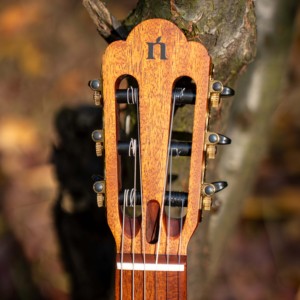 음악 애호가를위한 신선한 디자인 스마트 사일런트 NATASHA NBSG-MS 6 현 마호가니 넥 일렉트릭 기타 - Product Image 3