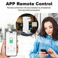 Disjoncteur intelligent Wi-Fi avec mesure de consommation (kWh), 1-63A, 1P+N, affichage LED, protection contre la tension, le courant et la température, compatible Alexa et Google Home