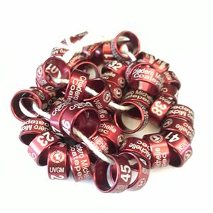 Persoonlijke metalen papegaai vogel duif beenbanden kip voet ringen haan ring - Product Image 3