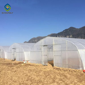 Sainpolytunnel Nhà Kính Ở Ba Lan Phim Nhựa 8X30M Trang Trại Rau Xanh Nhà Kính Nông Nghiệp Dọc Trang Trại Cho Tom - Product Image 2