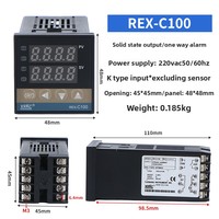 Thermostat numérique PID REXC100 M DA 220V en plastique, personnalisation OEM prise en charge, contrôleur de température pour incubateur K