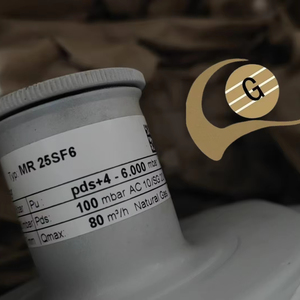 Regulador de Presión de <span class=keywords><strong>Gas</strong></span> Elster MR25 <span class=keywords><strong>SF6</strong></span> MR50 <span class=keywords><strong>SF6</strong></span> 100% Nuevo y Original, Piezas para Calderas - Product Image 4