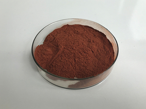 Insen bán chất lượng hàng đầu tự nhiên 95% chiết xuất hạt nho - Product Image 6