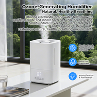 Humidificateur d'air pour hôtel avec fonction ozone 2-en-1 : humidification et purification