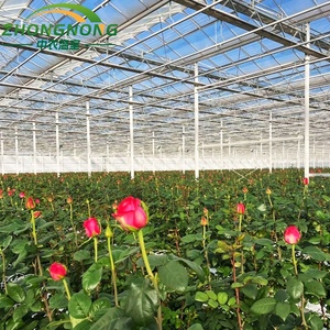 Serre agricole moderne intelligente complète pour semis, légumes, tomates hybrides, avec structure et panneaux en polycarbonate - Product Image 3